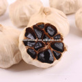 Healthcare Food Black Garlic Supplement